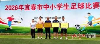 AC米兰对阵卡利亚里意甲第38轮精彩回顾